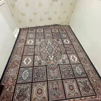 فرش ۱۲متری|فرش|تربت‌حیدریه, حسنی بالا|دیوار