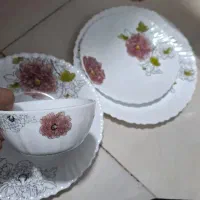 آرکوپال ۱۲ نفره پلمپ|ظروف سرو و پذیرایی|پرند, فاز ۵|دیوار