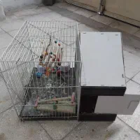 قفس پرنده|لوازم جانبی حیوانات|سبزوار, قلعه‌نو دهزار|دیوار