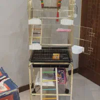 قفس عروس|لوازم جانبی حیوانات|تهران, جنتآباد جنوبی|دیوار