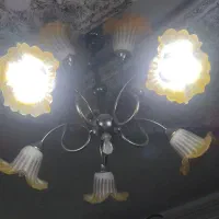 لوستردرحدنو|لوستر و چراغ آویز|بندرعباس, |دیوار