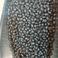 قهوه پی بی فول دارک
