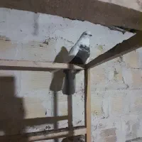 کفتر دم بادمجانی