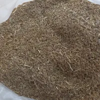 زیره سبز|عمده‌فروشی|قائن, |دیوار