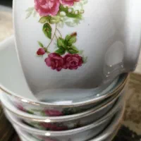 کاسه ابگوش خوری