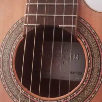 گیتار|گیتار، بیس، امپلیفایر|اردبیل, |دیوار