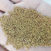 بذریونجه رنجرپیام پاسخگونیستم