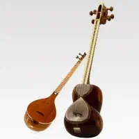 مدرس تار و سه تار خانم هستم