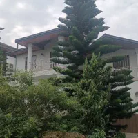 اجاره ویلااستخردار /شهرکی برند(خانم الهی)|اجارهٔ خانه و ویلا|رویان, |دیوار