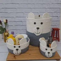 ست نظم دهنده