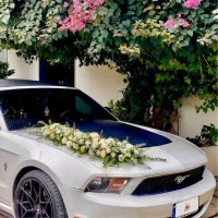 اجاره ماشین عروس فورد موستانگ کروک