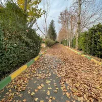 ۱۰۰۰ متر چهار دیواری/بهترین لوکیشن/قابلیت خرد کردن