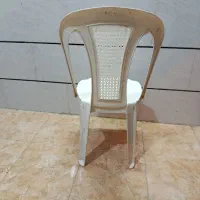 صندلی پلاستیکی در حد|صندلی و نیمکت|کردکوی, |دیوار