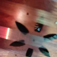 سنتور تک مهر حمید موسوی نو همراه با لوازم جانبی|سازهای سنتی|ساری, |دیوار