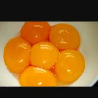 زرده تخم مرغ