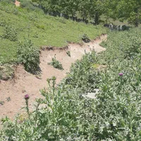 فروش زمین ۳۰۰متری واقع در سوادکوه|فروش زمین و ملک کلنگی|زیرآب, |دیوار