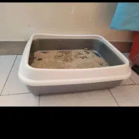 دو عدد ظرف خاک گربه|لوازم جانبی حیوانات|کرج, شهرک امام رضا (ع)|دیوار