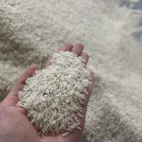 فروش برنج درجه یک از تولید کننده « شالیکوبی مدرن»|خوردنی و آشامیدنی|قائم‌شهر, |دیوار