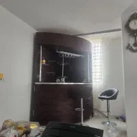 میزبارحرفه ای