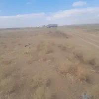 زمین کشاورزی ۸ هزار متر ۱۰۰متر حاشیه|فروش دفتر صنعتی، کشاورزی، تجاری|قوچان, |دیوار