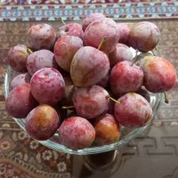 لواشک سنتی خودم پز|خوردنی و آشامیدنی|ماکو, |دیوار