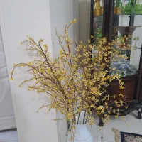 گل تزئینی