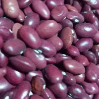 لوبیا قرمز و سفید کاملا ارگانیک|خوردنی و آشامیدنی|بهشهر, |دیوار