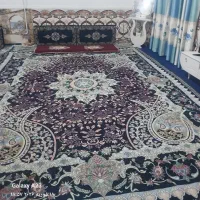 روفرشی ۱۲ متری