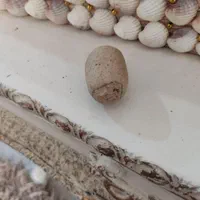 انواع مهره اصلی۱|زیورآلات و اکسسوری|ایلام, |دیوار