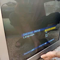 تلویزیون|تلویزیون و پروژکتور|بوشهر, |دیوار