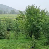 زمین مسکونی ۱۸۱۴متری+خانه کلنگی در آهکلان ماسال|فروش زمین و ملک کلنگی|ماسال, |دیوار