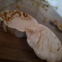 تولید سنگ مصنوعی|صنایع دستی و سایر لوازم تزئینی|ساری, |دیوار