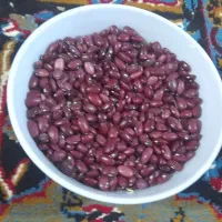لوبیا قرمز