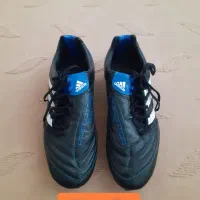 کفش ورزشی|کیف، کفش، کمربند|تبریز, |دیوار