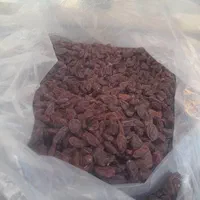 خریدوفروش عمده کشمش و مویز دشمن زیاری درجه یک