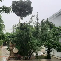 اجاره باغ ویلا استخر آب گرم سقف پوشیده خوشنام|اجارهٔ کوتاهمدت ویلا و باغ|مشکیندشت, |دیوار