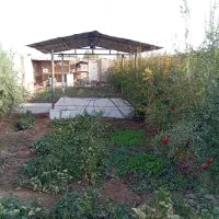 فروش خانه روستایی