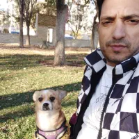 گمشده مژدگانی دریافت کنید|حیوانات|وحیدیه, |دیوار