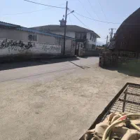 فروش نانوایی بربری فوری|فروشگاه و مغازه|شلمان, |دیوار