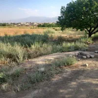 باغ نقلی فروشی