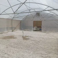 اجاره گلخانه جهت فروش گل و گلدان و نهالستان|اجارهٔ دفتر صنعتی، کشاورزی، تجاری|مرودشت, فاز دوم شهرک فرهنگیان|دیوار