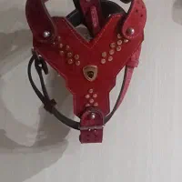 قلاده کتفی چرمی سگ،قلاده گردنی،معاوضه با گوشی،ظبط|لوازم جانبی حیوانات|نسیمشهر, |دیوار