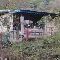 165متر ویلاکوهپایه ای با ویو زیبا در تالش|فروش خانه و ویلا|لیسار, |دیوار