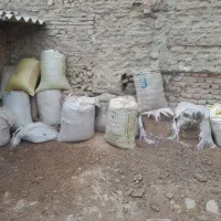 کود گوسفندی