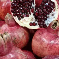 استخدام میوه فروشی