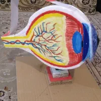 کاردستی و کمک آموزشی متنوع از مهد تا متوسطه
