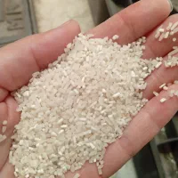 برنج نیمدانه وسرلاشه  هاشمی۱۴۰۴ خوش عطرواعلا|خوردنی و آشامیدنی|الوند, |دیوار