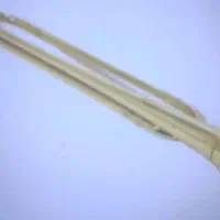 شیپور  هیئتی