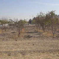 فروش زمین کشاورزی ورودی اصلی شهر۵۵۰متر