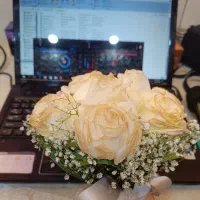 دیجی و دف نوازی الهام